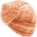 floating sea object